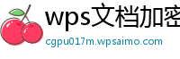 wps文档加密在哪儿打开啊手机怎么设置